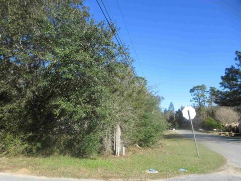 6041 Nutmeg Ave, Pace, FL 32571 photo 43