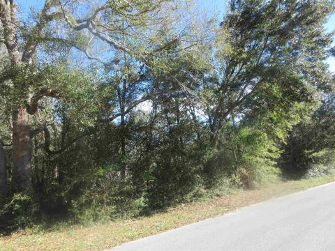 6041 Nutmeg Ave, Pace, FL 32571 photo 42