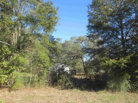 6041 Nutmeg Ave, Pace, FL 32571 photo 20