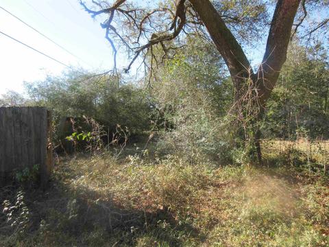 6041 Nutmeg Ave, Pace, FL 32571 photo 11