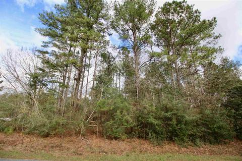 0000 Tidwell Rd, Pace, FL 32571 photo 12
