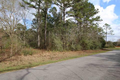 0000 Tidwell Rd, Pace, FL 32571 photo 21