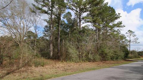 0000 Tidwell Rd, Pace, FL 32571 photo 20