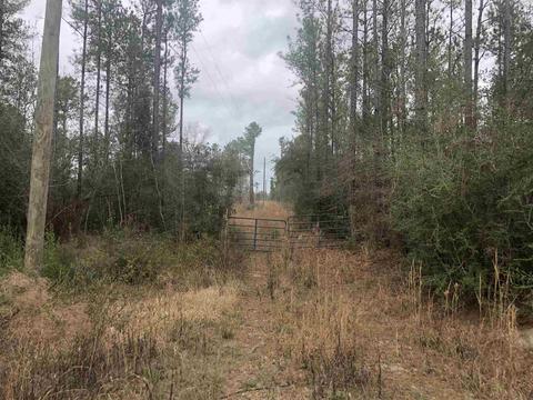 4560 Willard Norris Rd, Pace, FL 32571 photo 1