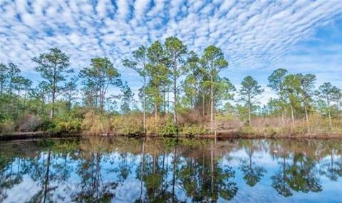 3075 Robinson Point Rd, Milton, FL 32583 photo 10