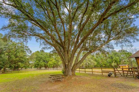 3490 Mahogany Dr, Pace, FL 32571 photo 43
