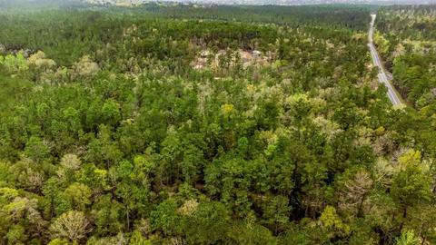 0000 Morristown Rd, Jay, FL 32565 photo 3