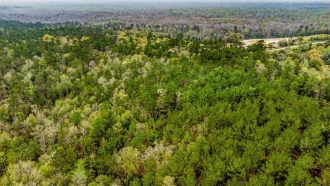 0000 Morristown Rd, Jay, FL 32565 photo 8