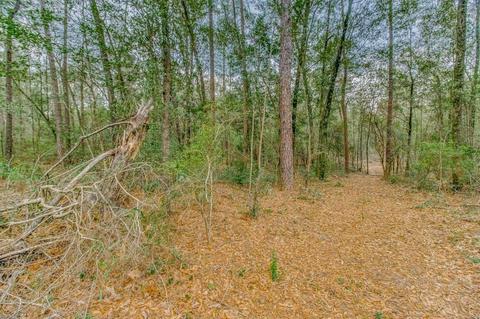 0000 Morristown Rd, Jay, FL 32565 photo 10