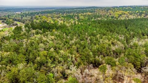 0000 Morristown Rd, Jay, FL 32565 photo 6
