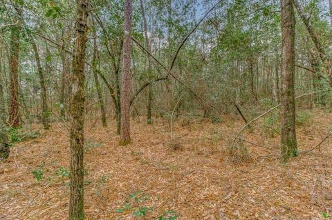 0000 Morristown Rd, Jay, FL 32565 photo 9