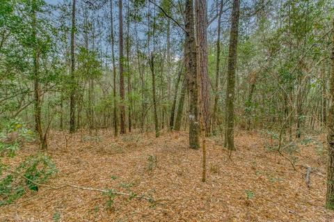 0000 Morristown Rd, Jay, FL 32565 photo 11
