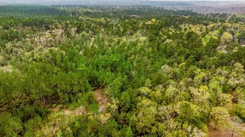 0000 Morristown Rd, Jay, FL 32565 photo 4