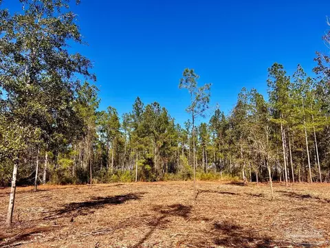 lot2 Denali Rd, Jay, FL 32565 photo 12