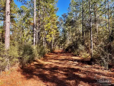 lot2 Denali Rd, Jay, FL 32565 photo 11