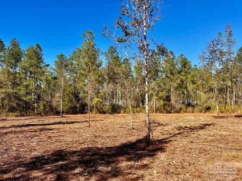 lot2 Denali Rd, Jay, FL 32565 photo 2