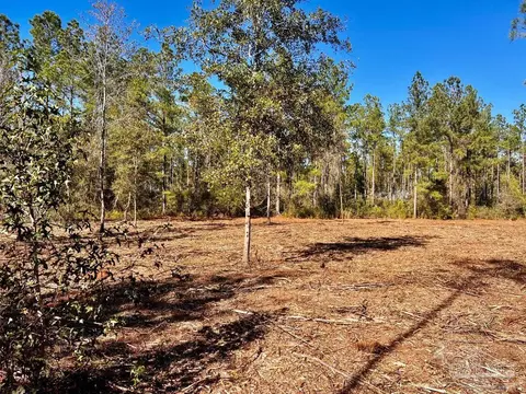lot2 Denali Rd, Jay, FL 32565 photo 14