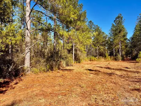 lot2 Denali Rd, Jay, FL 32565 photo 15