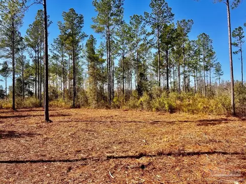 lot4 Denali Rd, Jay, FL 32565 photo 19