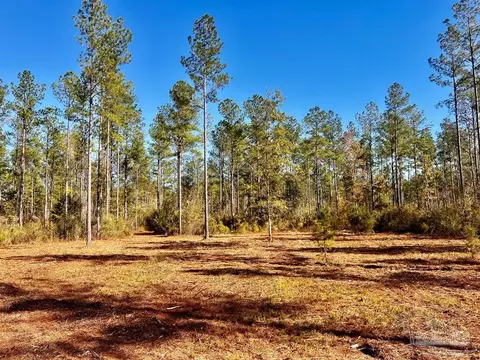 lot4 Denali Rd, Jay, FL 32565 photo 2