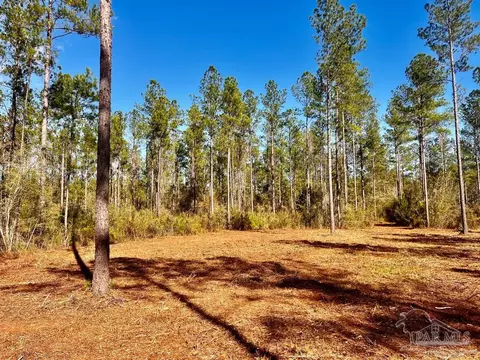 lot4 Denali Rd, Jay, FL 32565 photo 18