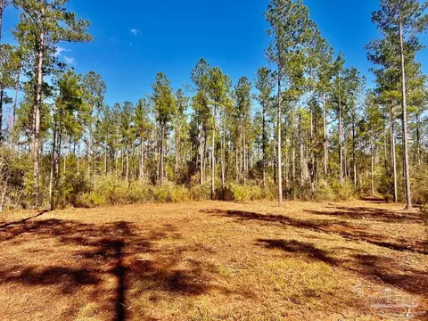 lot4 Denali Rd, Jay, FL 32565 photo 11