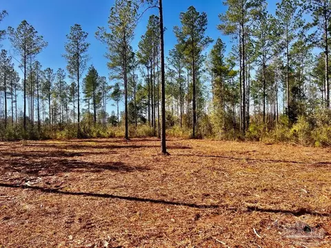 lot4 Denali Rd, Jay, FL 32565 photo 20