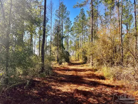 lot4 Denali Rd, Jay, FL 32565 photo 12