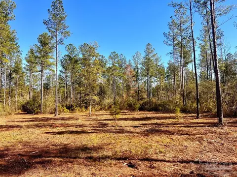 lot4 Denali Rd, Jay, FL 32565 photo 16