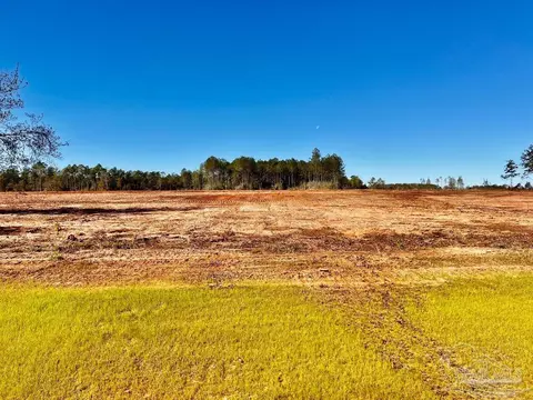 lot8 Denali Rd, Jay, FL 32565 photo 10
