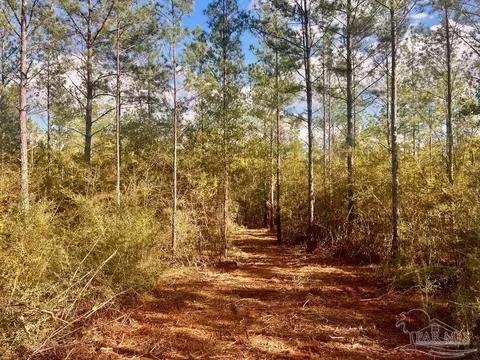 lot12 Denali Rd, Jay, FL 32565 photo 13