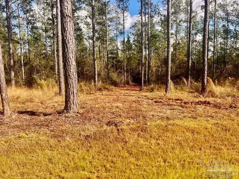lot12 Denali Rd, Jay, FL 32565 photo 12