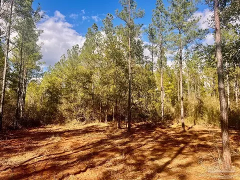 lot12 Denali Rd, Jay, FL 32565 photo 2