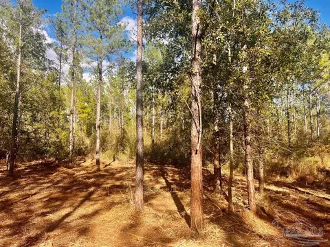 lot12 Denali Rd, Jay, FL 32565 photo 16