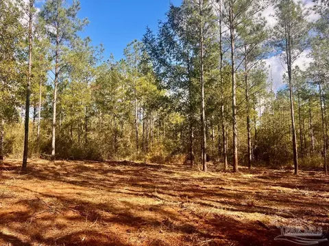 lot12 Denali Rd, Jay, FL 32565 photo 15