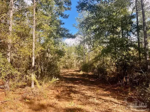 lot12 Denali Rd, Jay, FL 32565 photo 14