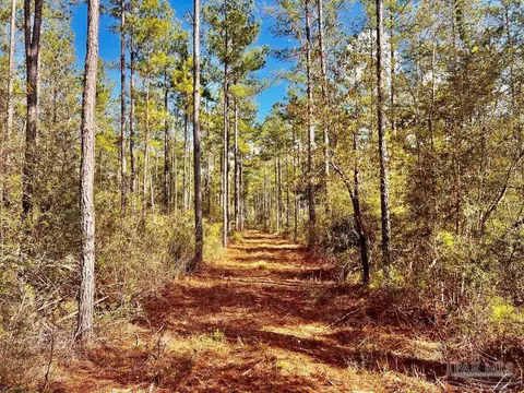 lot15 Denali Rd, Jay, FL 32565 photo 13