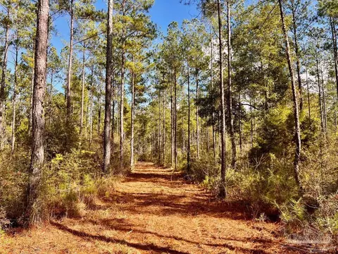 lot15 Denali Rd, Jay, FL 32565 photo 2