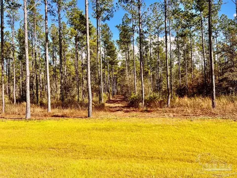 lot15 Denali Rd, Jay, FL 32565 photo 11