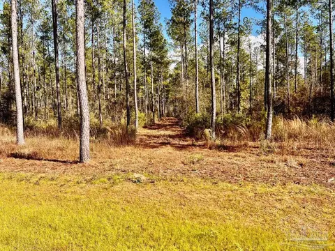 lot15 Denali Rd, Jay, FL 32565 photo 12