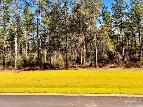 lot17 Denali Rd, Jay, FL 32565 photo 14