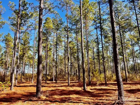 lot17 Denali Rd, Jay, FL 32565 photo 21