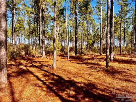 lot17 Denali Rd, Jay, FL 32565 photo 22