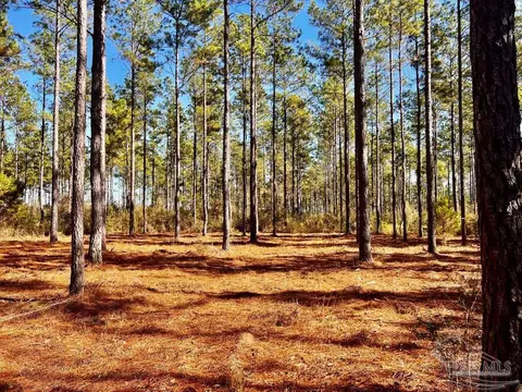 lot17 Denali Rd, Jay, FL 32565 photo 2