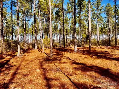 lot17 Denali Rd, Jay, FL 32565 photo 24