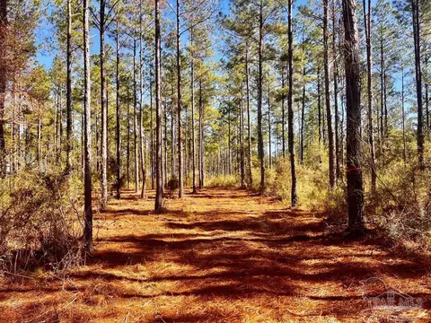 lot17 Denali Rd, Jay, FL 32565 photo 19