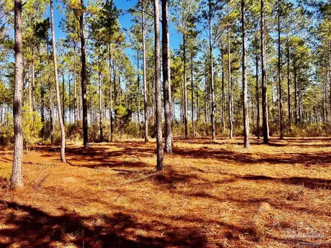 lot17 Denali Rd, Jay, FL 32565 photo 23