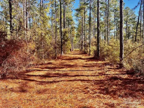 lot17 Denali Rd, Jay, FL 32565 photo 17