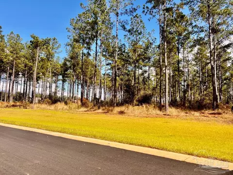 lot17 Denali Rd, Jay, FL 32565 photo 13