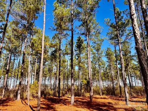 lot17 Denali Rd, Jay, FL 32565 photo 25